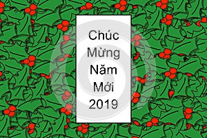 ChÃÂºc MÃ¡Â»Â«ng NÃÅ½m MÃ¡Â»âºi 2019 card Happy New Year in vietnamese with holly leaves as a background photo